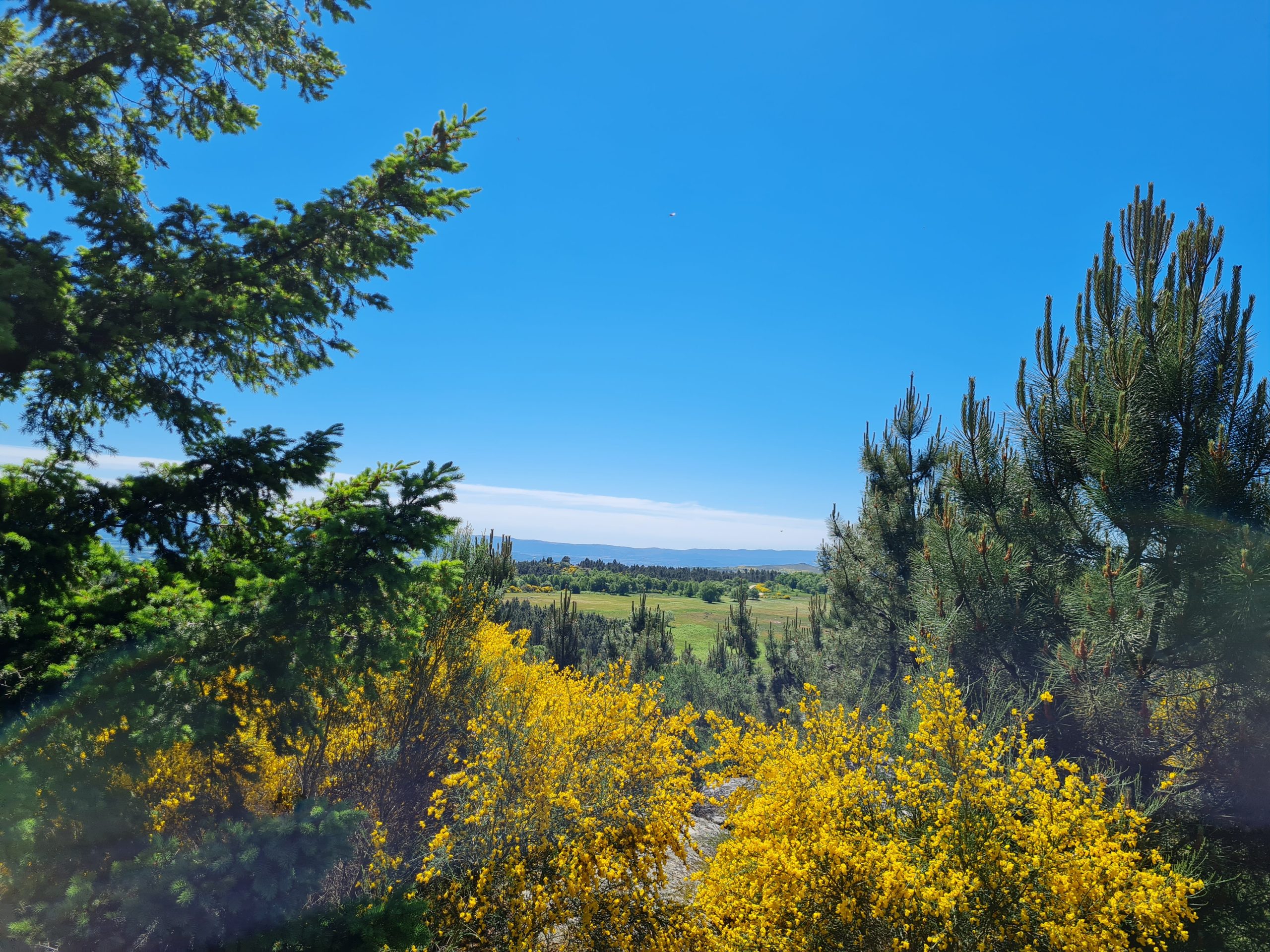 Bioesfera de Penamá