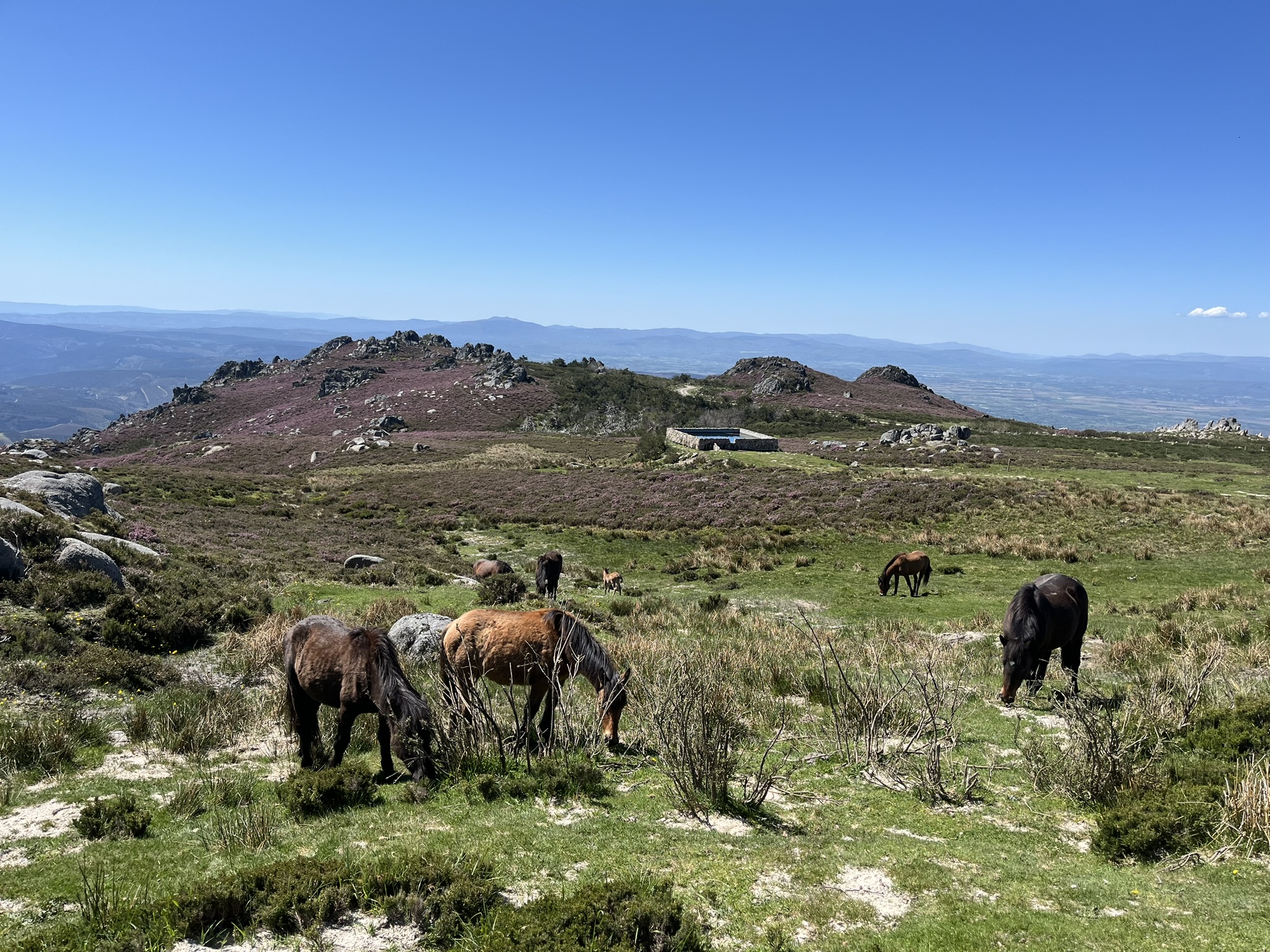 Asomandonos al Macizo Central